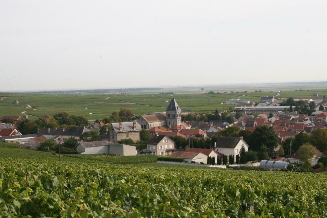 Demeure Saint Martin Bed and Breakfast Blancs-Coteaux Exteriör bild