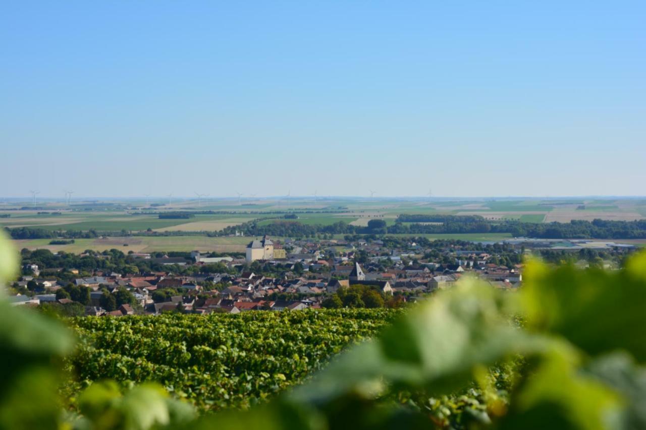Demeure Saint Martin Bed and Breakfast Blancs-Coteaux Exteriör bild